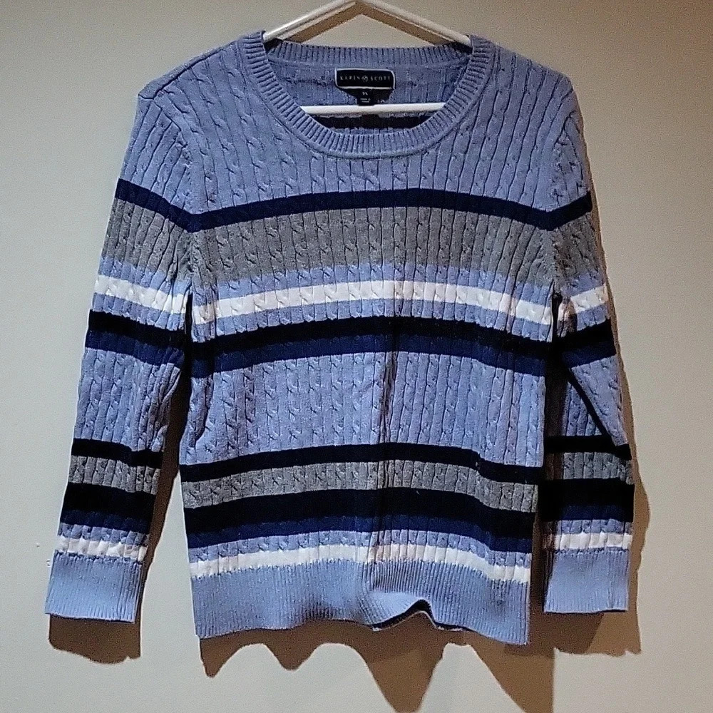 *Host Pick* Karen Scott Blue and Grey Striped Sweater